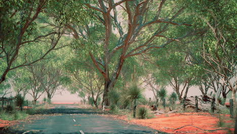 open-road-in-Australia-with-bush-trees